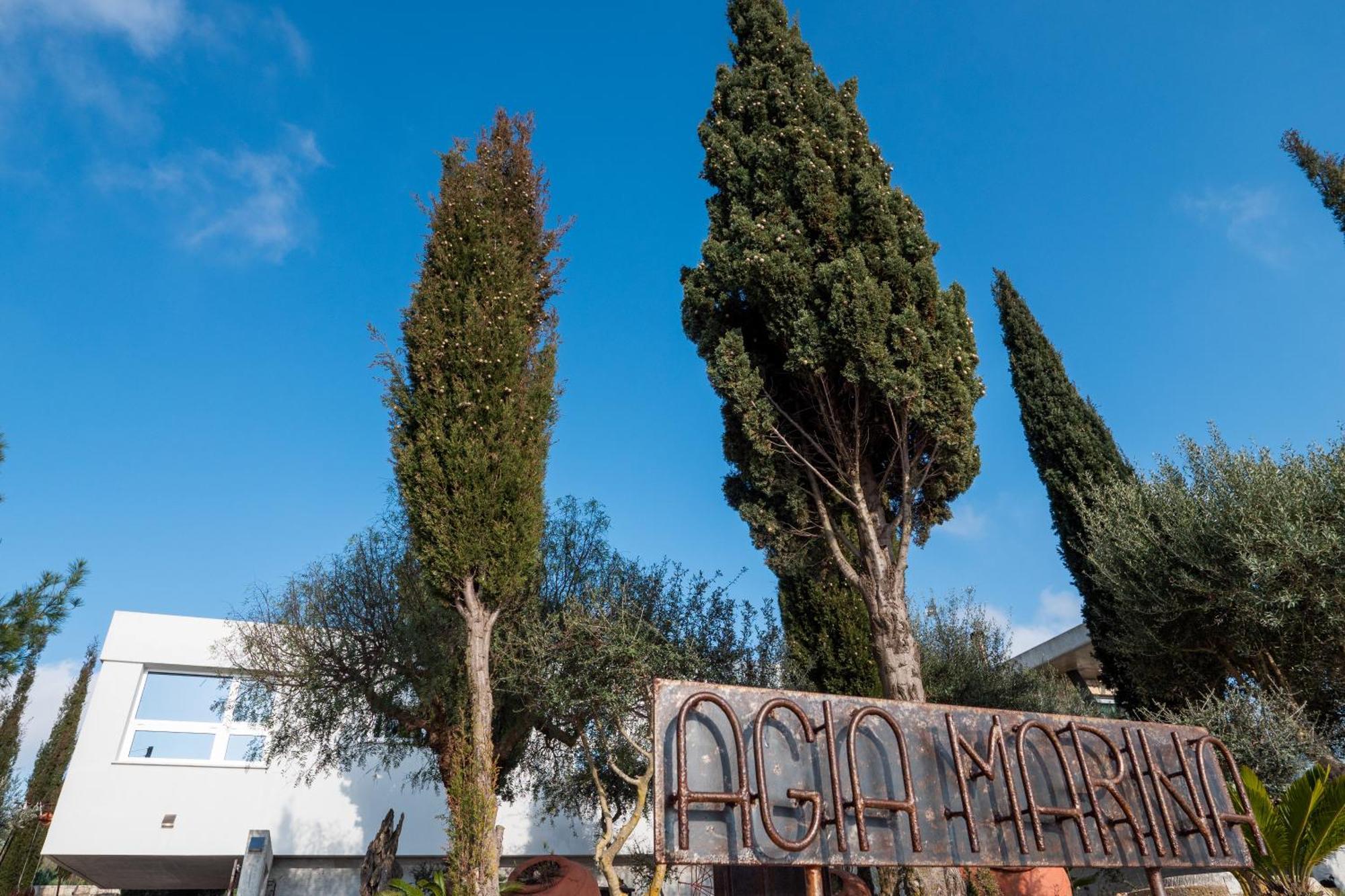 Villa Ayia Marina Kathikas Exterior foto